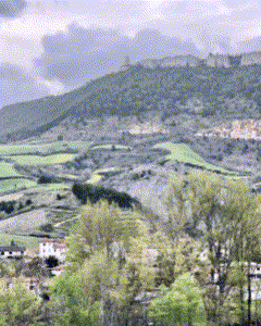 Galeria con imagenes hecha por Rabia al silencio